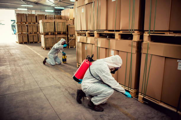 Best Best Pest Control Companies  in Dallastown, PA