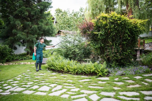 Best Local Pest Control Services  in Dallastown, PA