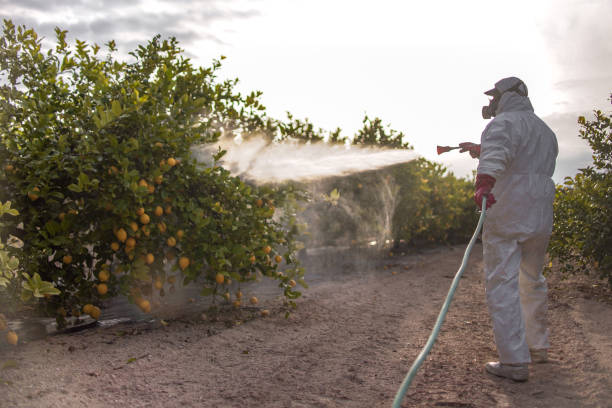 Pest Control Cost in Dallastown, PA