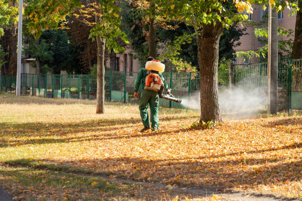 Best Termite Control Services  in Dallastown, PA